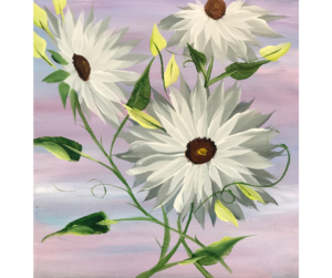 Daisies in 3 viewpoints