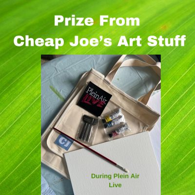 Prize from Chap Joe's Art Stuff During Plein Air Live