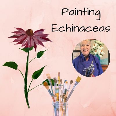 Paint an echinacea