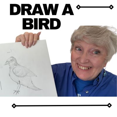 How to draw a bird - step by step tutorial